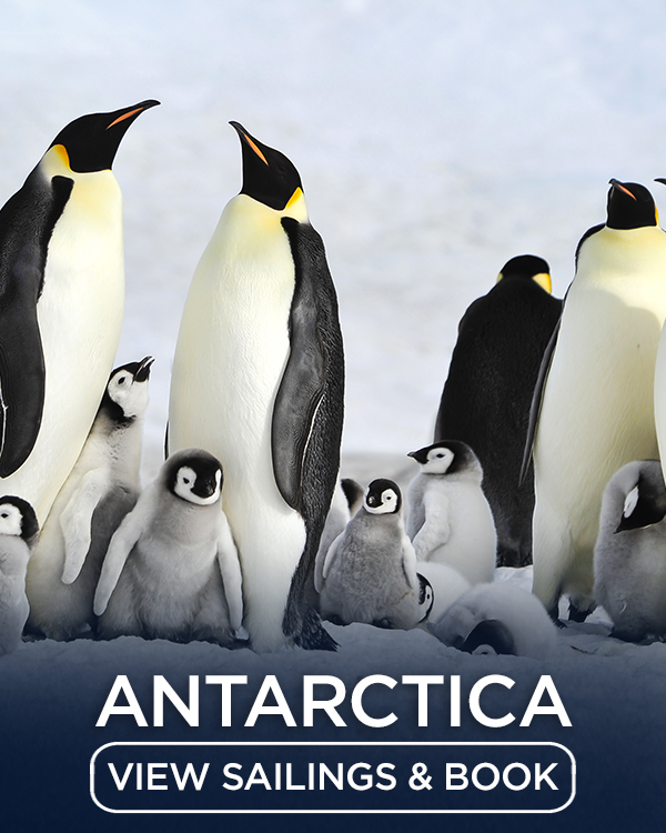 Antarctica Cruises