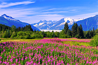 Alaska Cruises