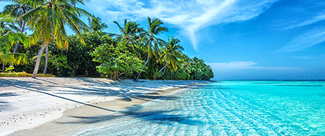 Caribbean Cruises