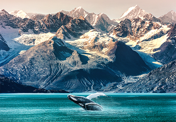 Oceania Cruises - Alaska