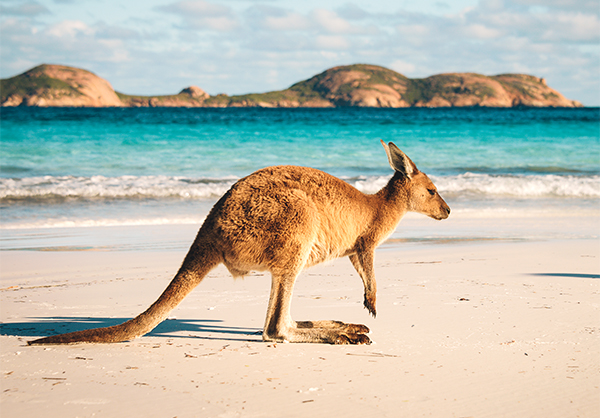 Oceania Cruises - Australia