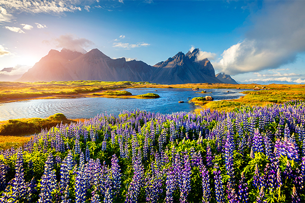 Silversea Iceland & Greenland Expedition Cruises