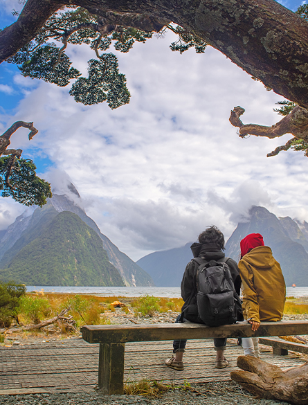 Enchanting New Zealand