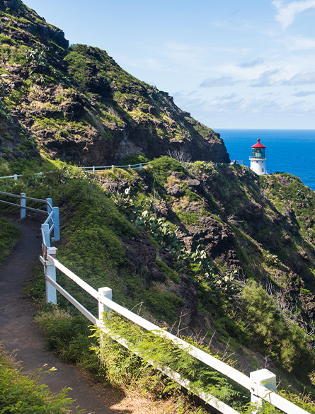 Postcard from Hawaii